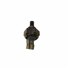 KOMBİ NTC DALDIRMA TİP DİŞLİ (CONTROL) FERROLI 20070080