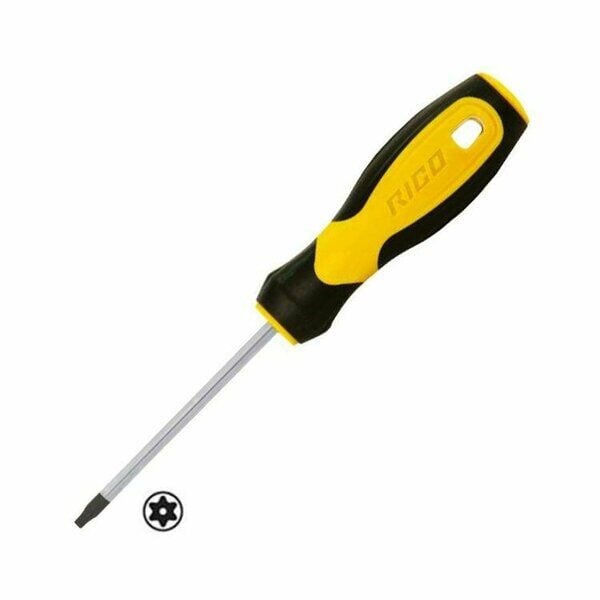 RİCO KLASİK TORNAVİDA DELİKLİ TORX T20X100